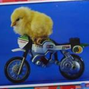 thebirdiestone avatar