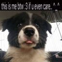 thebl00dym00nsystem avatar