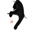 theblackcatdiary avatar