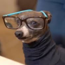 theblackcatnox-blog avatar