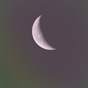 theblackcatspot avatar