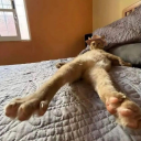 theblouyobmijo777 avatar