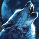 thebluewolfhowls avatar