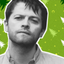 thebodaciousbooties avatar