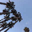 thebookishkind avatar