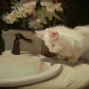 thebookishmoon avatar