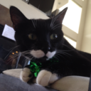 thebookworm777 avatar