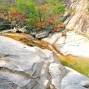 theboredvegetarian avatar