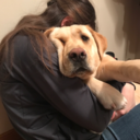 thebottomsideofacookie avatar