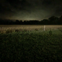 theboybrickwithoutastick avatar