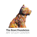 thebrantfoundation avatar