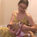 thebreastsoftiresias avatar