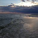 thebrokenbranches avatar