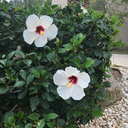 thebrokenparts avatar