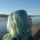 thebrokenwindmill avatar