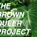 thebrownqueerproject avatar