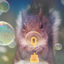 thebubblysquirrel avatar