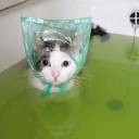 thebugsinyourhair avatar