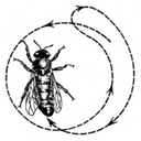 thebumblebees avatar