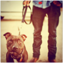 thebummerlife avatar