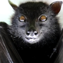 theburgerbuns avatar