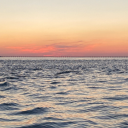 thebusinesssystem avatar