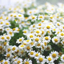 thebutterdays-blog avatar