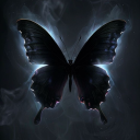 thebutterfly0 avatar
