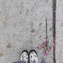 thebutterflybetch avatar