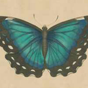 thebutterflyeffectofeverything avatar