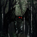 thebuttonlane avatar