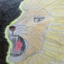 thecabbagegirl avatar