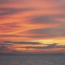 thecadaverousportrait avatar