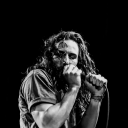 thecalmthatkeepsyouawake avatar