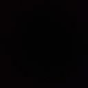 thecamhed-blog avatar