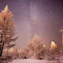 thecancerinyourveins avatar