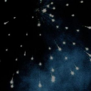 thecanisminor avatar