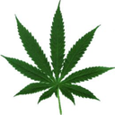 thecannabisclique avatar