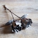 thecarebear77 avatar