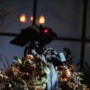 thecarnivalcryptid avatar