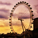 thecarnivallights avatar