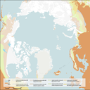 thecartoblogger avatar