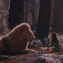 thecastleatcairparavel avatar