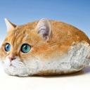 thecatbread avatar