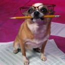 thecatcherinthemind avatar