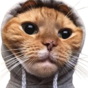 thecatinthehood avatar