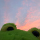 thecatsinvasion avatar