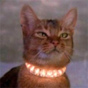 thecatstolemypen avatar