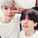 thechanbaeklibrary avatar