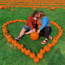 thechangeofseasons avatar